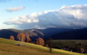 blackforest[1].sized.jpg