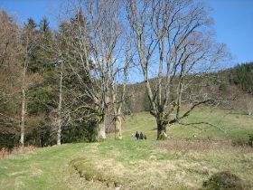 Wandern beim Knöpflesbrunnen.jpg